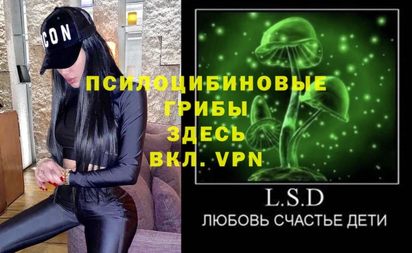 apvp Арсеньев