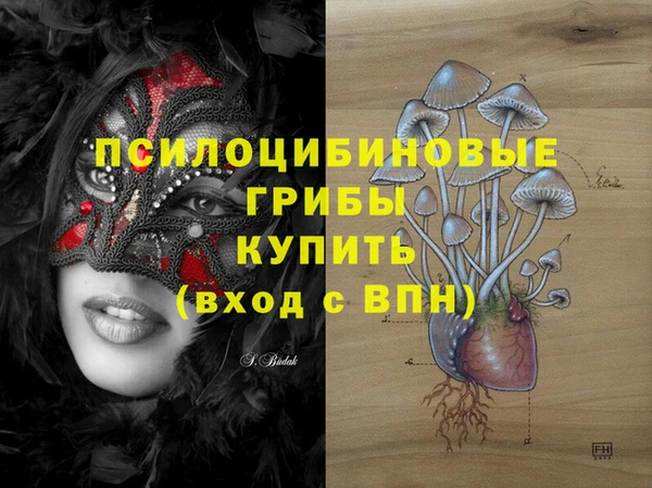 apvp Арсеньев